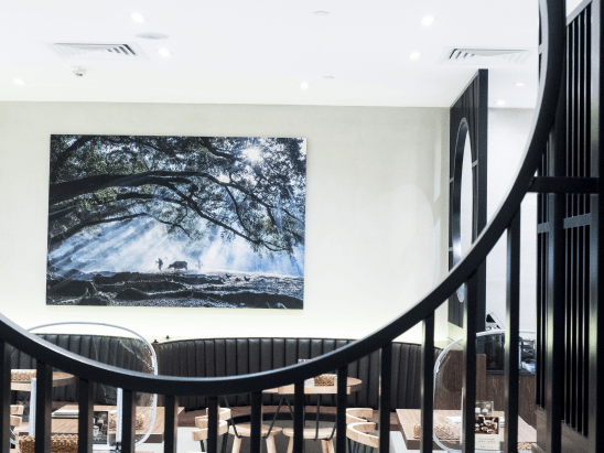 Cityplaza Chun Shui Tang  -2 , 太古城中心春水堂 -2