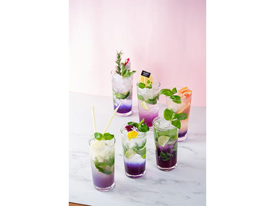 Cityplaza Greyhound Café -6 , 太古城中心 Greyhound Café -6