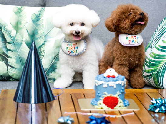 Taikoo Shing  lifetastic, 太古 Lifetastic