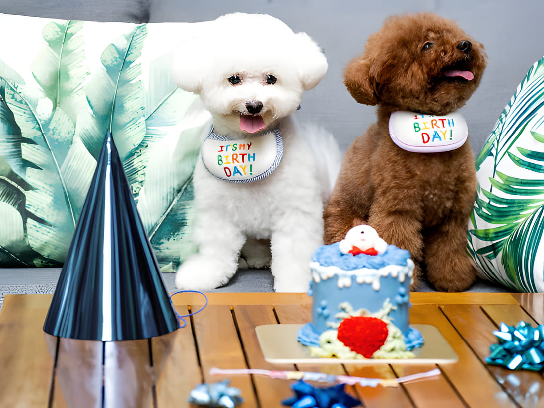 Taikoo Shing  lifetastic, 太古 Lifetastic