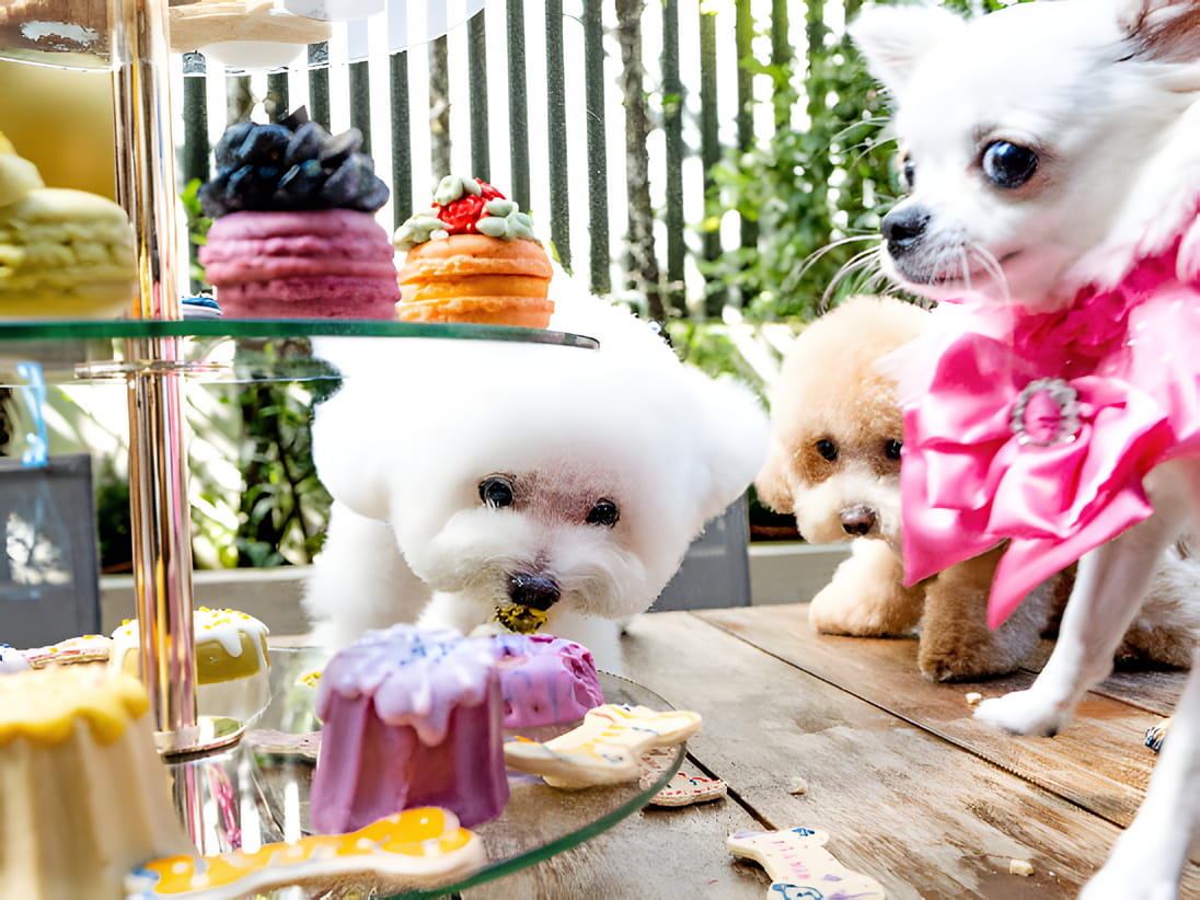 Taikoo Shing  lifetastic, 太古 Lifetastic