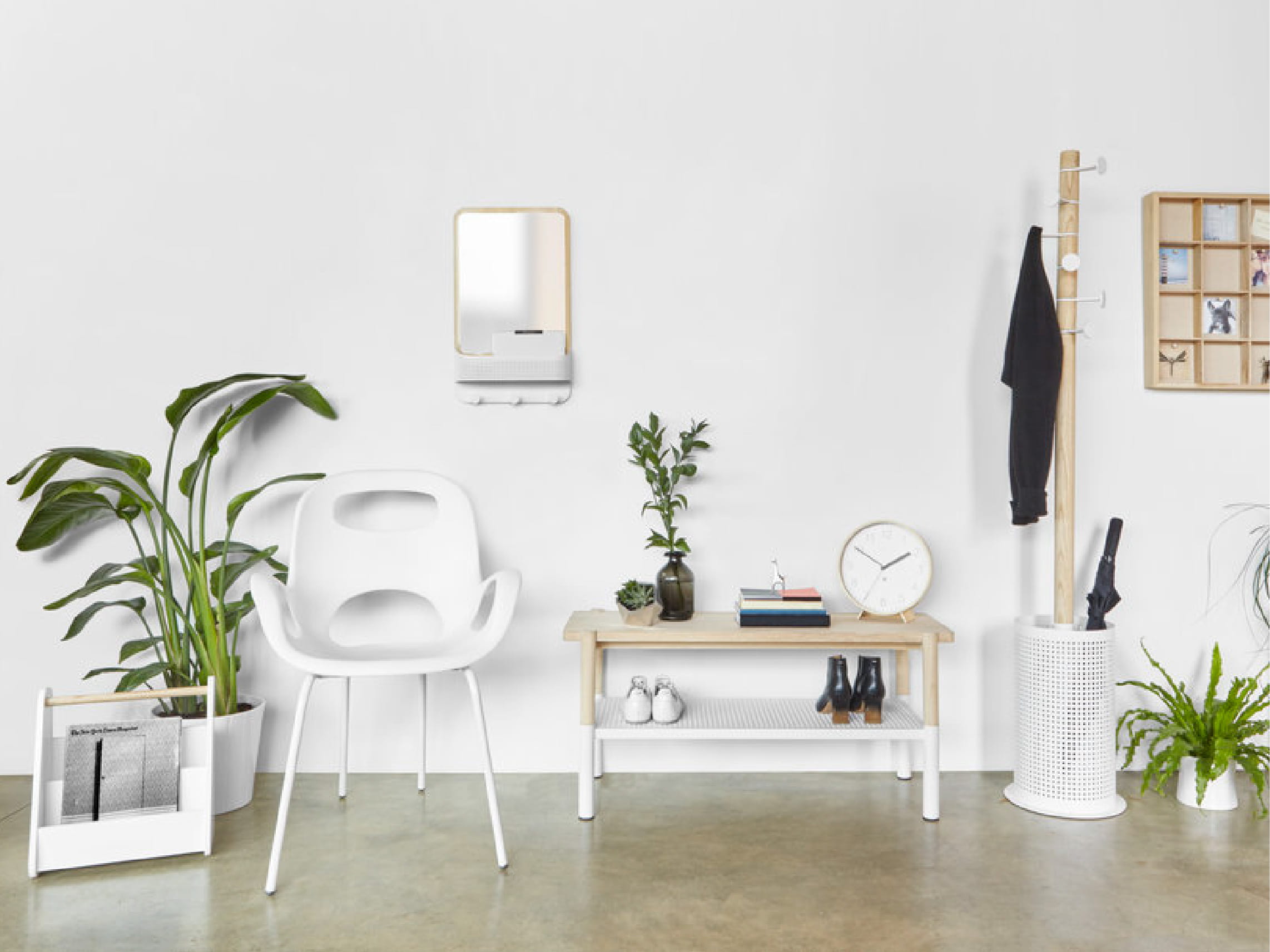 Cityplaza HOMELESS , 太古城中心 HOMELESS