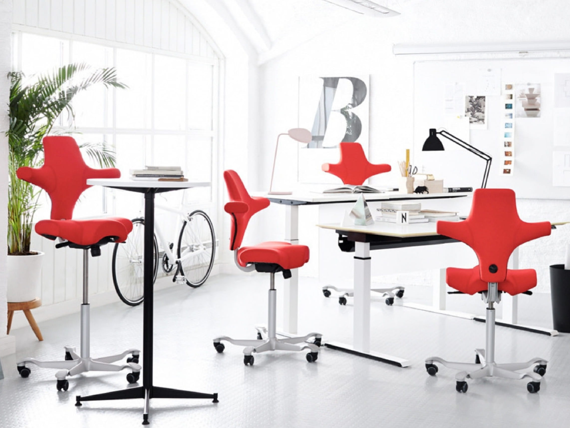 Cityplaza HOMELESS -5, 太古城中心 HOMELESS -5